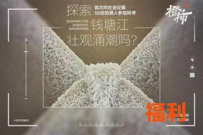 冰箱贴、不死鸟盆栽橙柿福利上新啦AG真人平台一乐拉面杯、爆款树叶(图12) 冰箱贴、不死鸟盆栽橙柿福利上新啦AG真人平台一乐拉面杯、爆款树叶(图12)