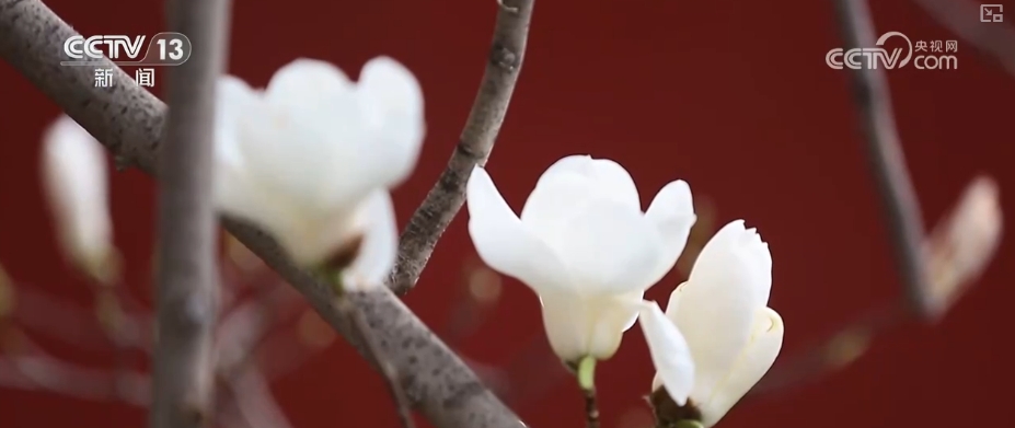 文化消费 “文创+”将“流量”变“留量”AG真人旗舰厅登录因地制宜、因时制宜创新(图5) 文化消费 “文创+”将“流量”变“留量”AG真人旗舰厅登录因地制宜、因时制宜创新(图5)