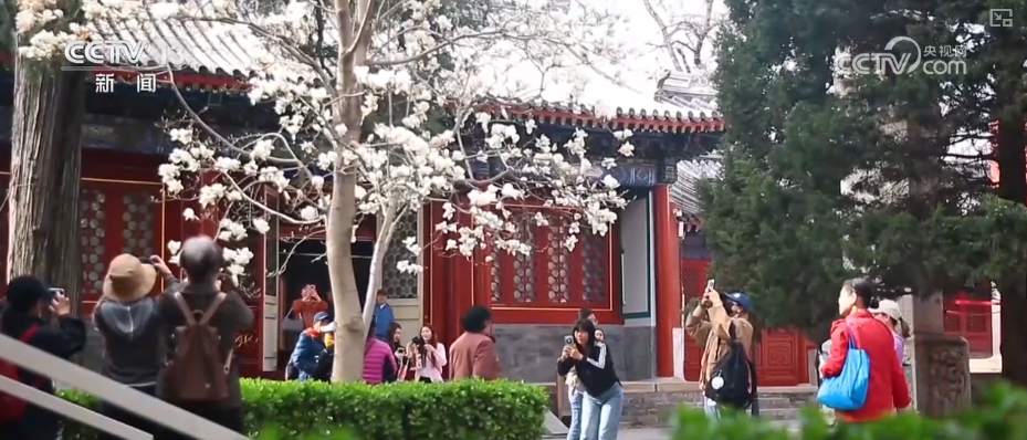 文化消费 “文创+”将“流量”变“留量”AG真人旗舰厅登录因地制宜、因时制宜创新(图13) 文化消费 “文创+”将“流量”变“留量”AG真人旗舰厅登录因地制宜、因时制宜创新(图13)