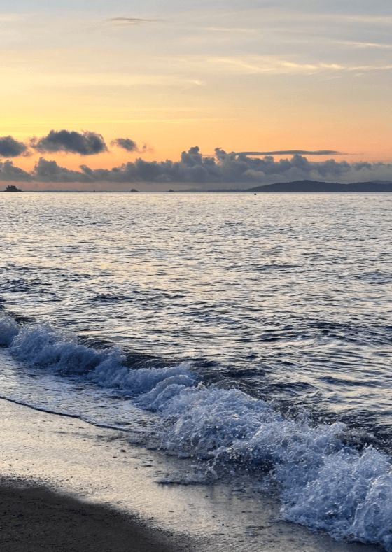 晚攻略每日安排帮你轻松避坑的保姆级指南AG真人游戏第一品牌厦门旅游新手五天四(图2)