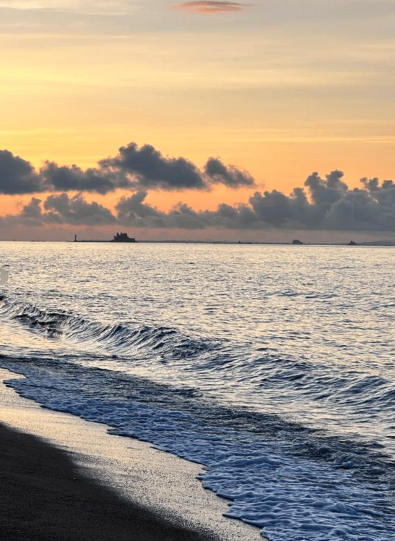 晚攻略每日安排帮你轻松避坑的保姆级指南AG真人游戏第一品牌厦门旅游新手五天四(图3)