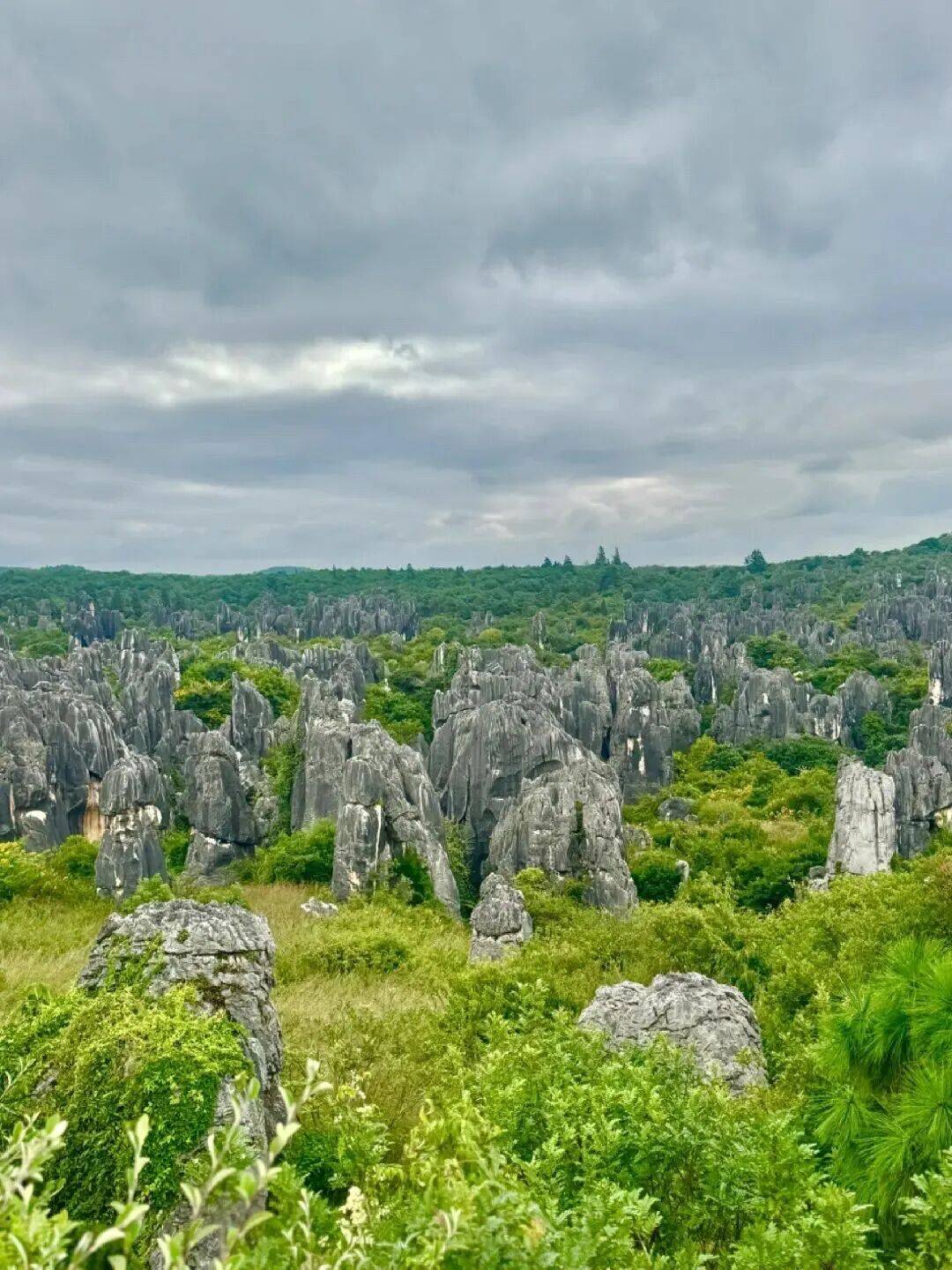 心】石林景区：“文化+”赋能全域旅游新模式AG真人平台【奇石林立根连根 各族人民心连(图2)